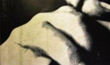 不再沉默在线观看,不再沉默在线观看，揭秘社会现象深度剖析