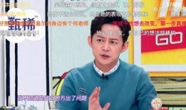 何炅往事爆料视频,那些不为人知的幕后故事