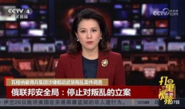 央视爆料孟阳的视频,揭秘其真实面目