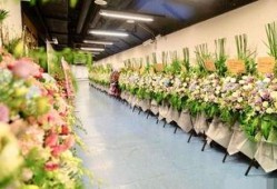 花篮网爆料最新视频大全