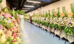 花篮网爆料最新视频大全