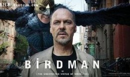 鸟人2014在线观看,在线观影指南，探索这部经典电影的魅力