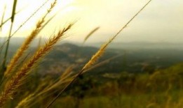 风景最新爆料视频大全高清,高清视频大全精彩瞬间大盘点