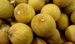 龙眼 在线观看,穿越时空的奇幻之旅在线观看