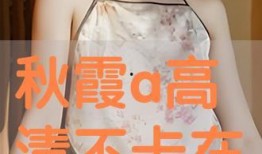 秋霞在线观看版,揭秘经典影视作品的魅力所在