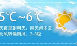 成都晚安爆料新闻,揭秘城市夜生活背后的故事