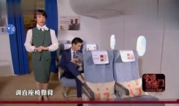 长高空姐长高视频大爆料,独家视频大爆料