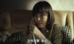 真凶在线观看,揭秘网络迷雾中的真相追踪