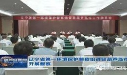 葫芦岛新闻爆料电话,揭秘市民爆料背后的故事