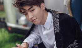 爆料王俊凯无边界视频,揭秘偶像私下真实生活