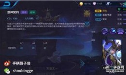 王哥王者爆料视频大全集,揭秘游戏幕后精彩瞬间