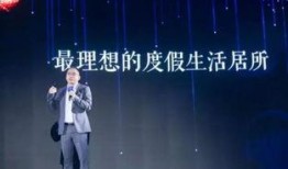 深圳南山王先生最新爆料,揭秘南山最新动态