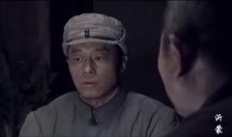 在线观看沂蒙,红色记忆中的抗战传奇