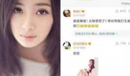 谁爆料的杨颖视频播放软件,揭秘背后播放软件之谜