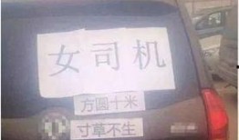 云南爆料女司机视频播放,真相究竟如何？