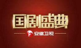 安徽卫视在线回放观看,精彩瞬间回顾