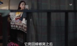 瓜姐最新爆料秘密视频,神秘视频背后的惊人真相