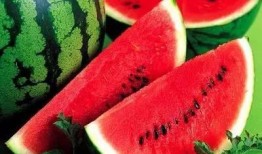 缅北视频每日爆料吃瓜,每日吃瓜爆料，揭秘缅北风云