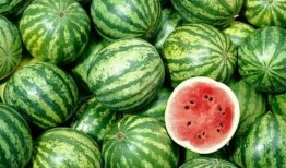 吃瓜网-免费吃瓜官网,免费吃瓜官网带你畅享娱乐盛宴