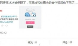 王冰冰知乎爆料事件视频,揭秘背后真相与网络舆论风暴